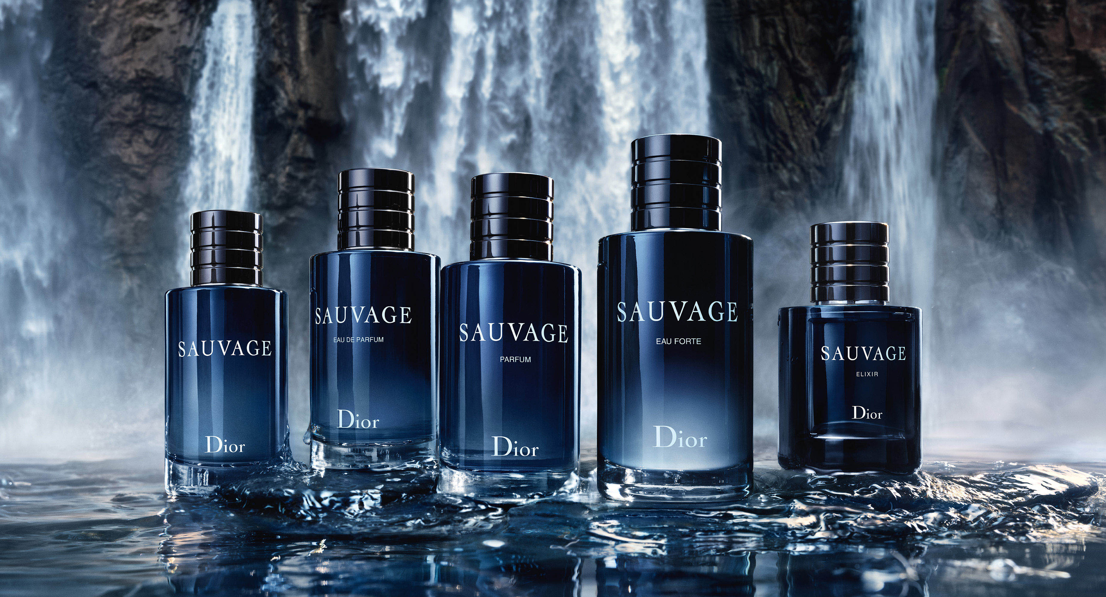 Dior Sauvage EDT Review The Wild and Bold Fragrance