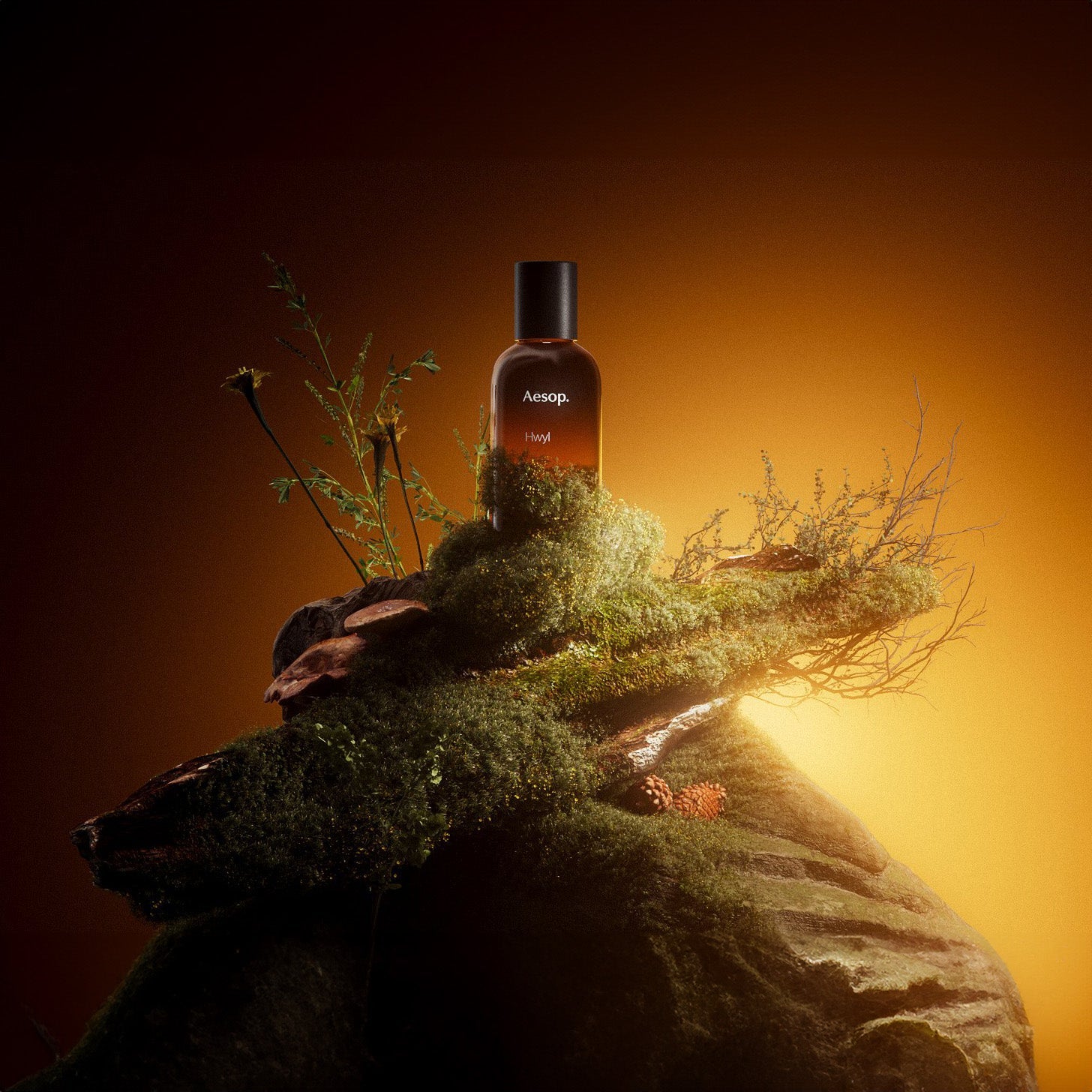 Aesop Hwyl EDP | My Perfume Shop