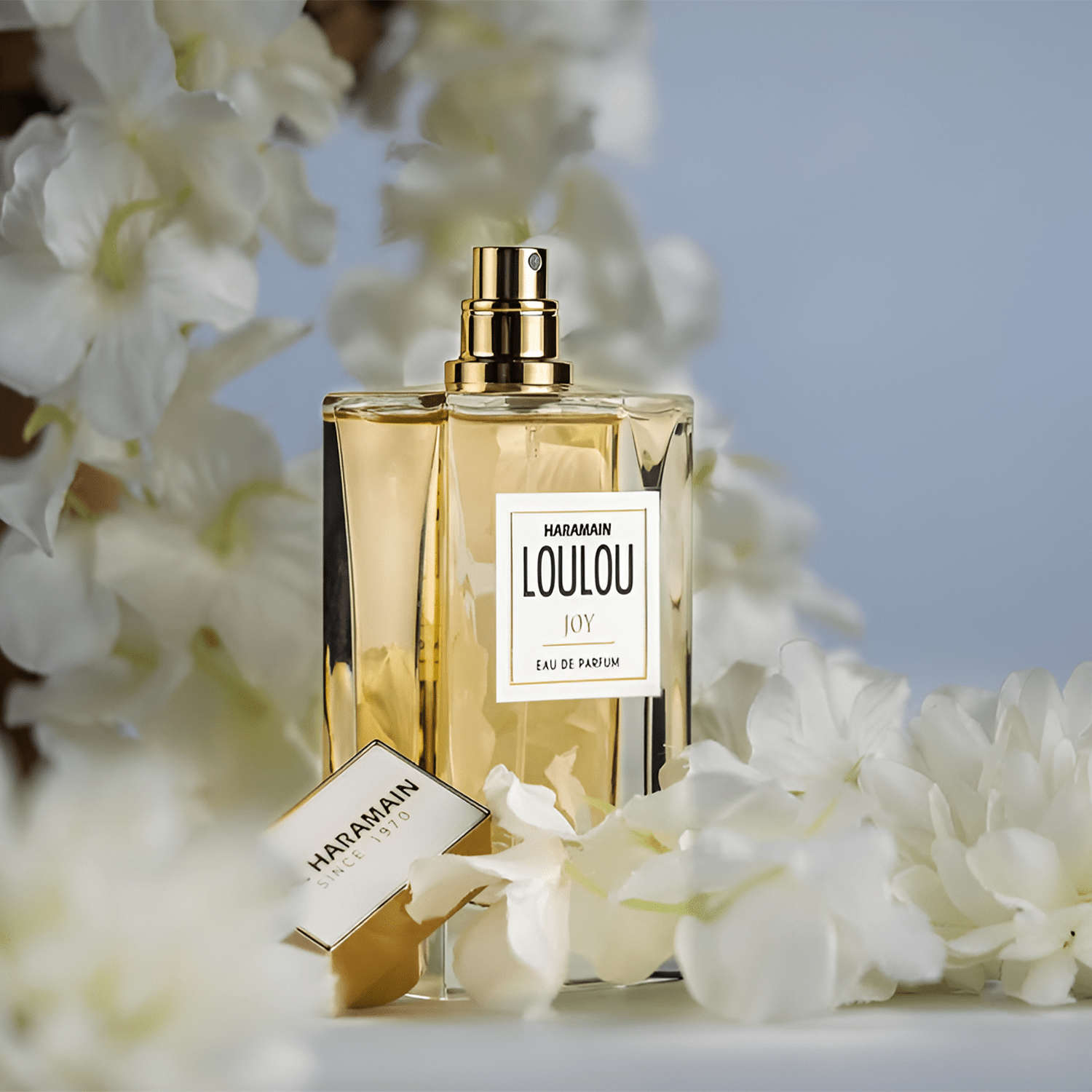 Al Haramain Loulou Joy EDP | My Perfume Shop