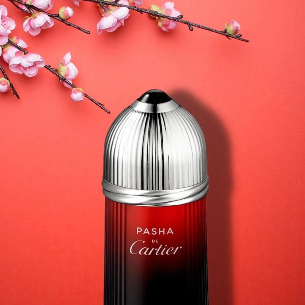 Pasha de cartier edition noire sport 100ml hotsell