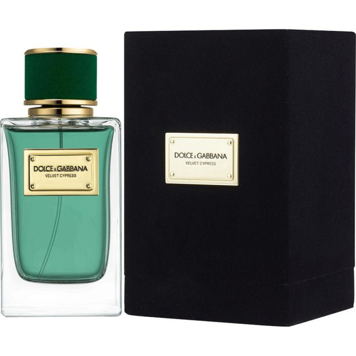 Dolce & Gabbana Velvet Cypress EDP | My Perfume Shop