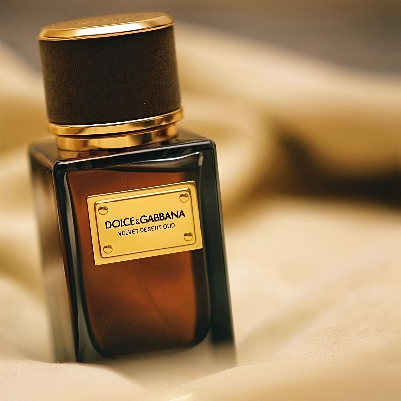 Shop Dolce Gabbana Velvet Desert Oud EDP