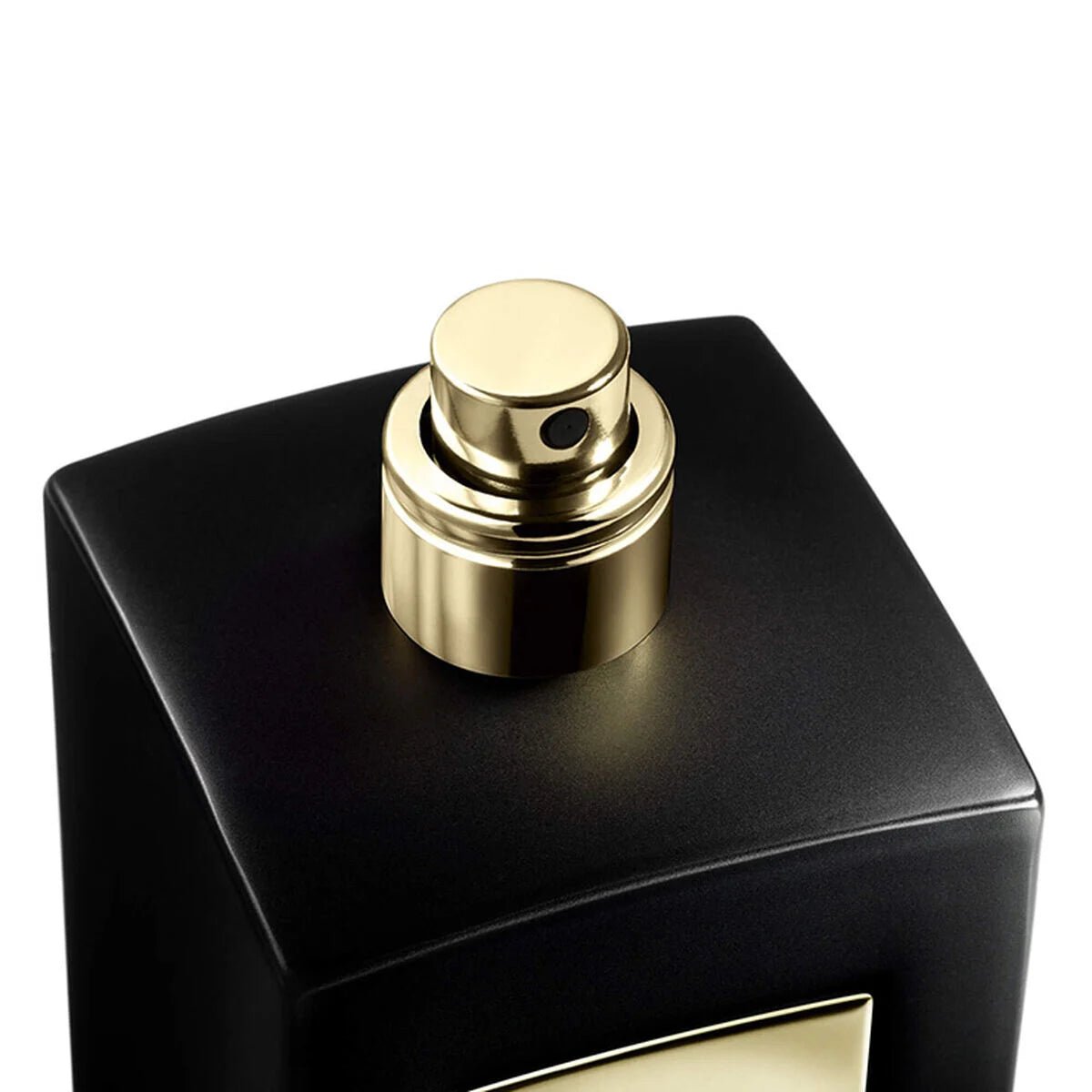 Giorgio Armani Prive Bois D'Encens EDP | My Perfume Shop