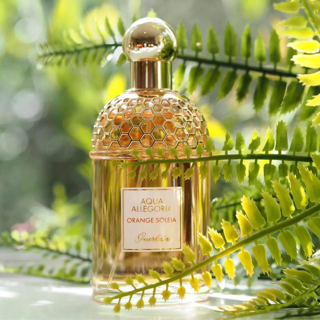 Shop Guerlain Aqua Allegoria Orange Soleia EDT