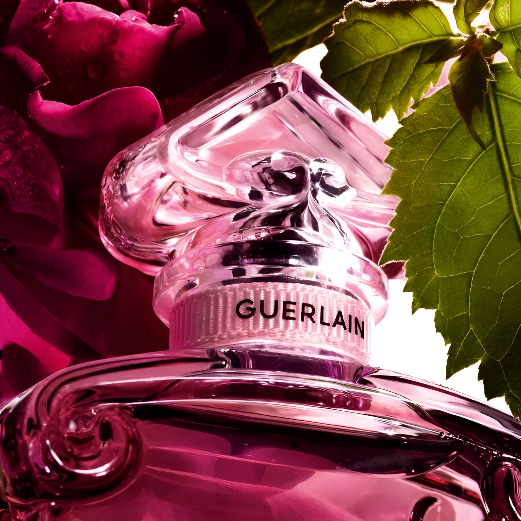 Guerlain La Petite Robe Noire EDP | My Perfume Shop