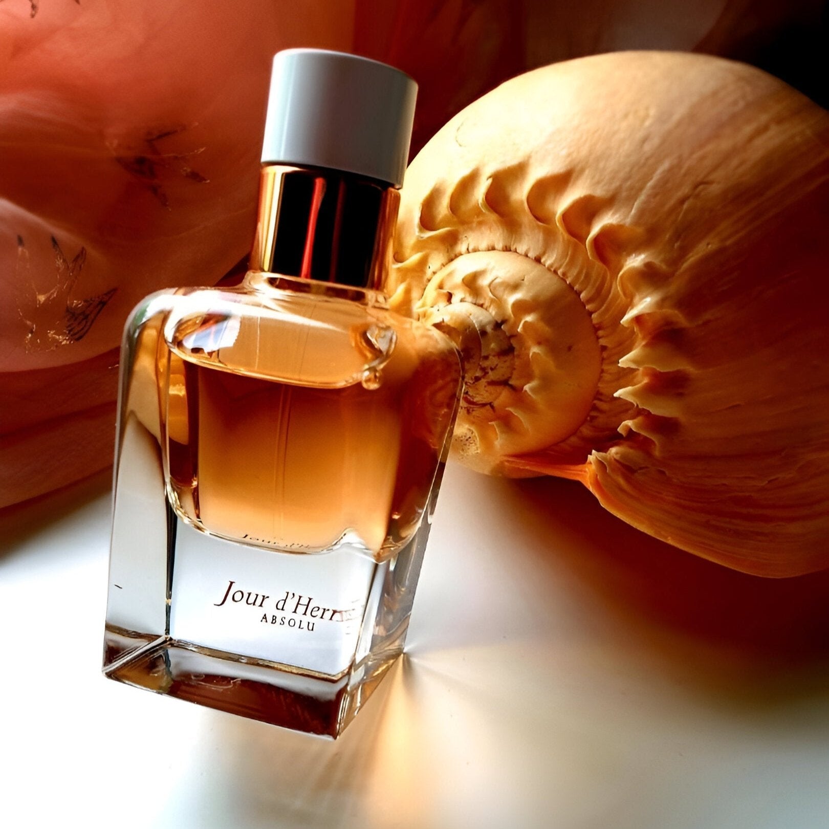 Hermes Jour D'Hermes Absolu EDP | My Perfume Shop