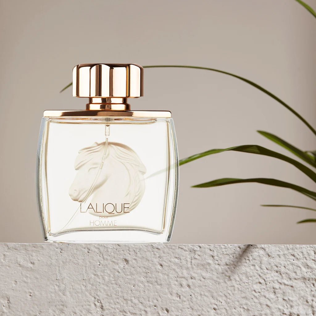 Lalique Equus Pour Homme EDP | My Perfume Shop