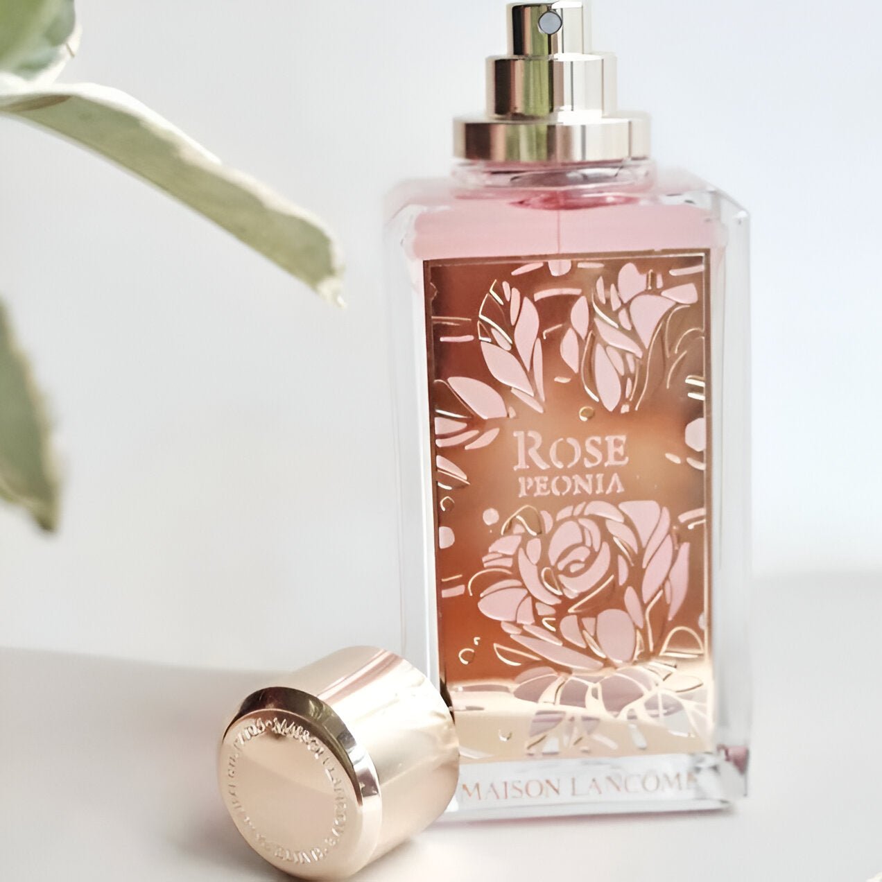 Lancome Maison Rose Peonia EDP | My Perfume Shop