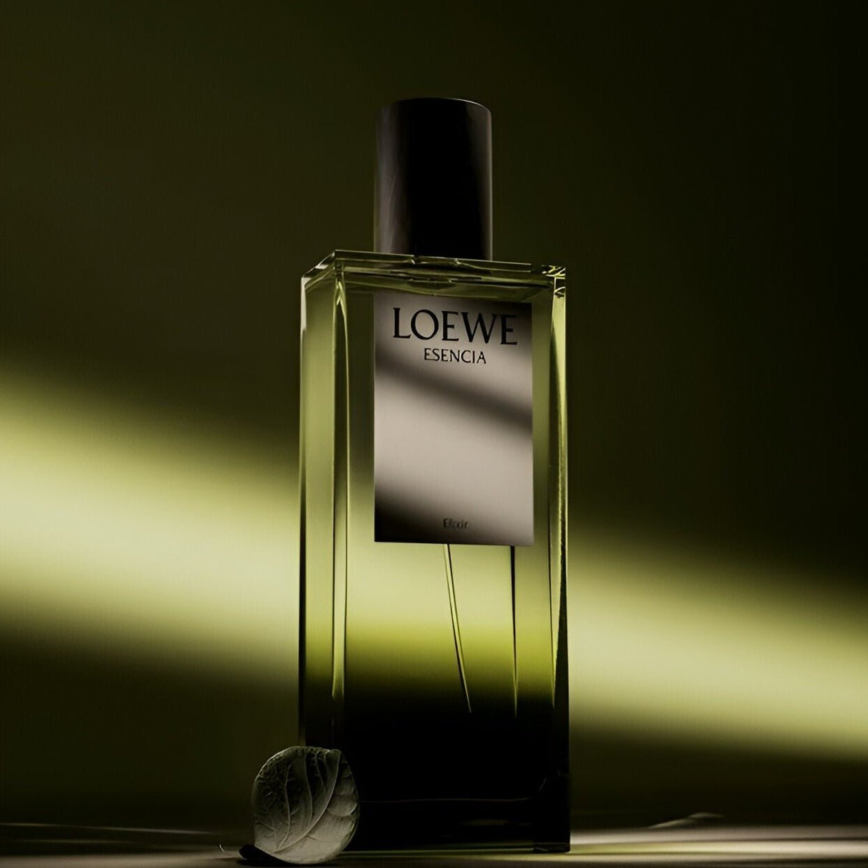 Loewe Esencia Dio Spray | My Perfume Shop