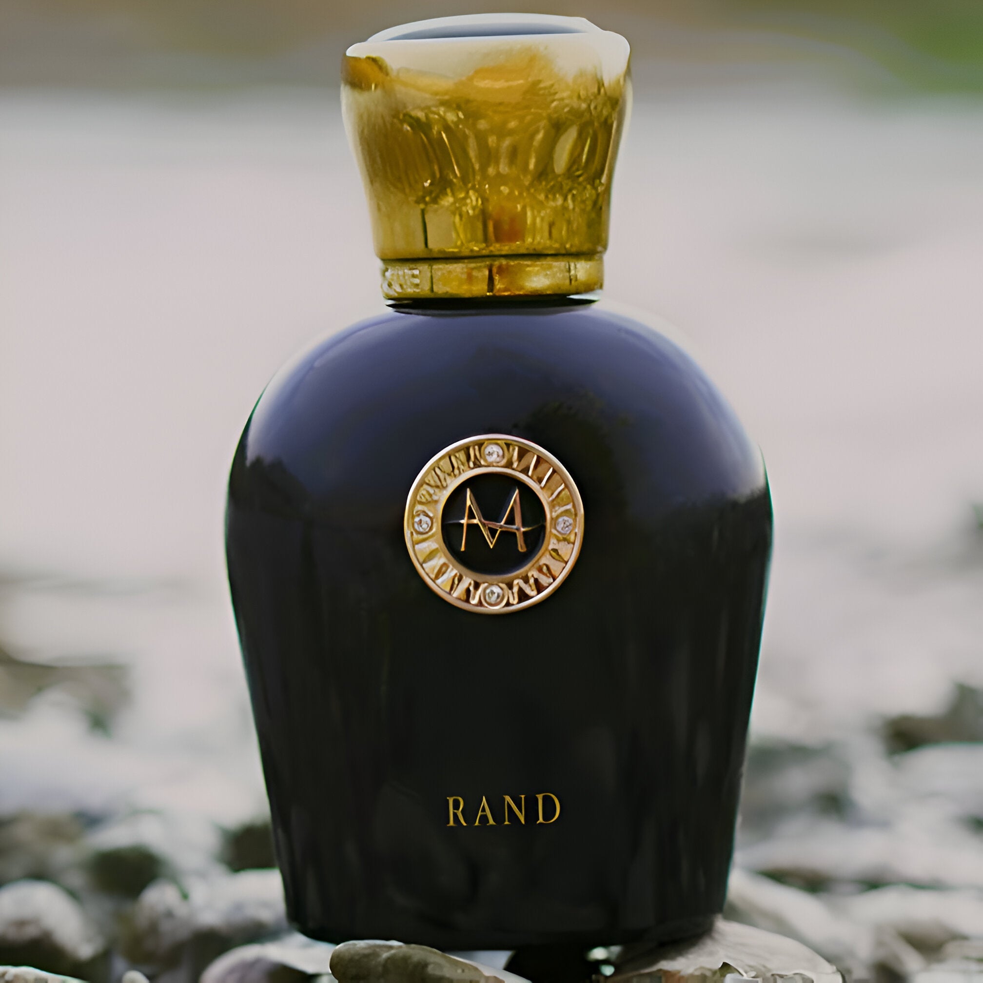 Moresque Black Collection Rand EDP | My Perfume Shop