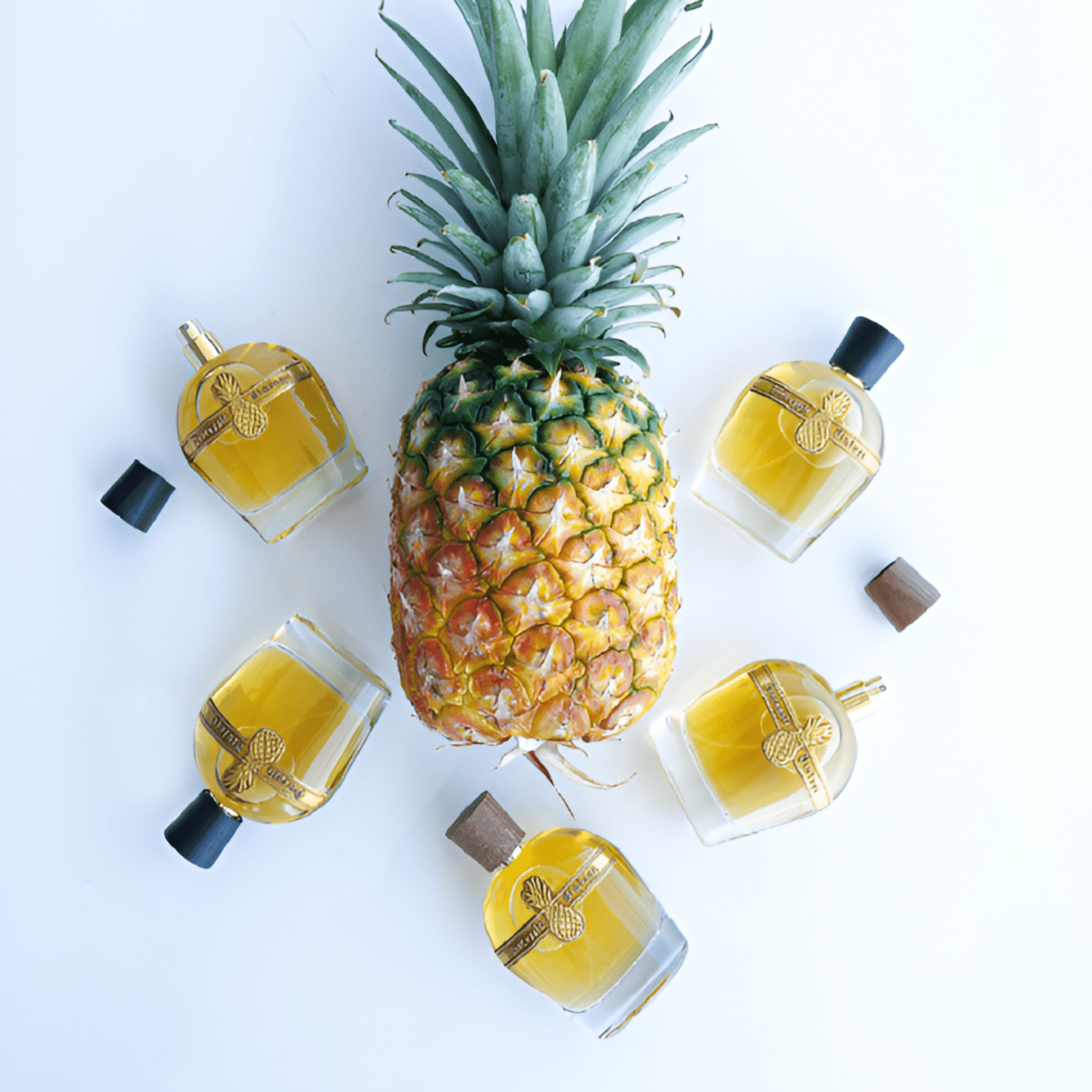 Parfums Vintage Pineapple Vintage Beyond Noir EDP | My Perfume Shop