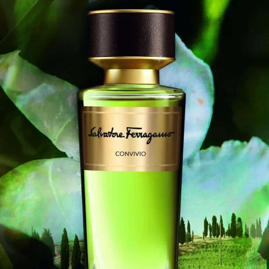 Salvatore Ferragamo Tuscan Creation Convivio Body Lotion | My Perfume Shop