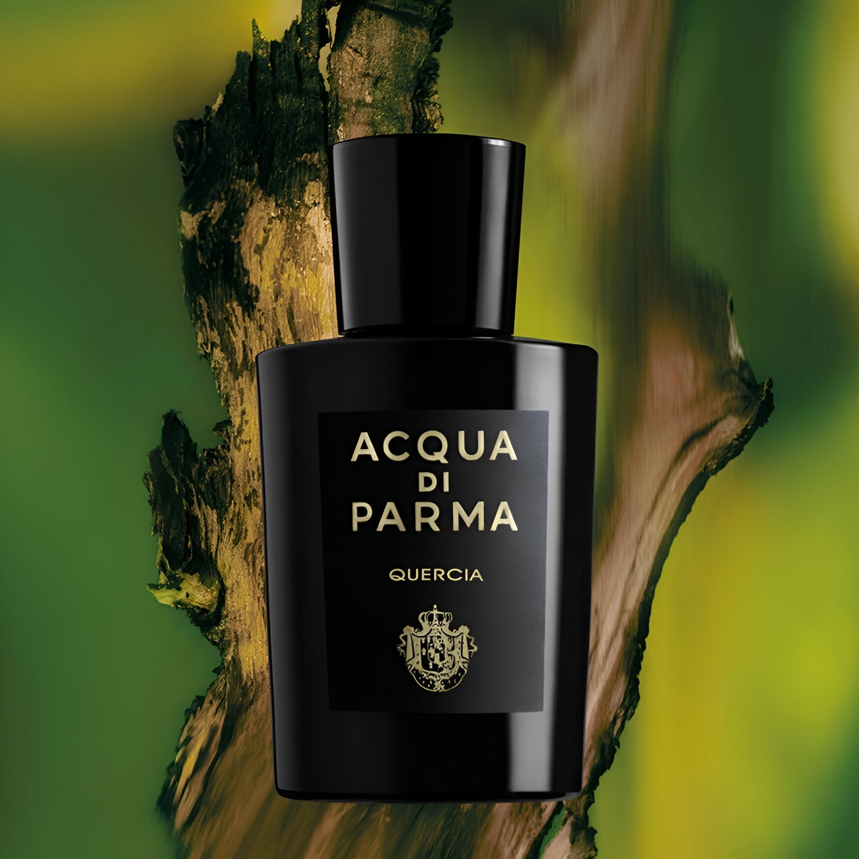 Acqua di Parma Quercia store