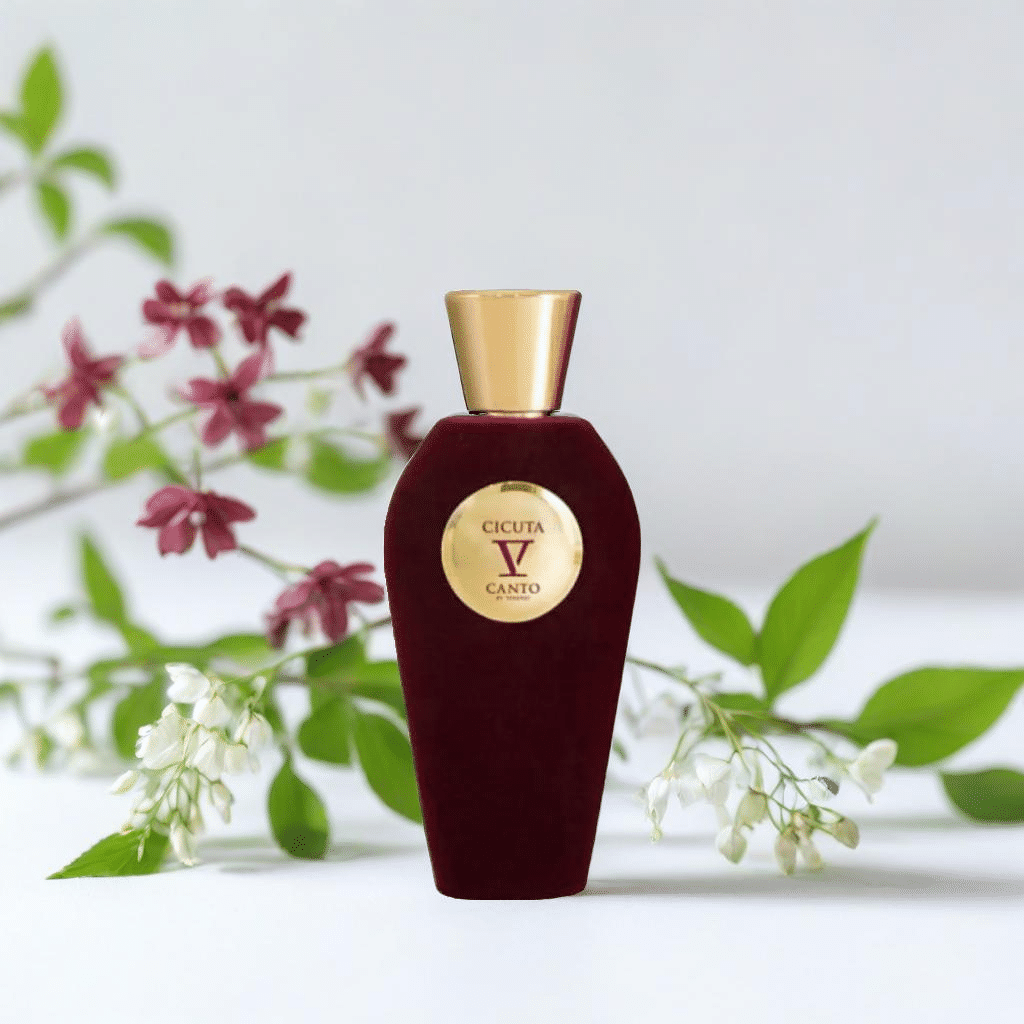 V Canto Cicuta Extrait De Parfum | My Perfume Shop