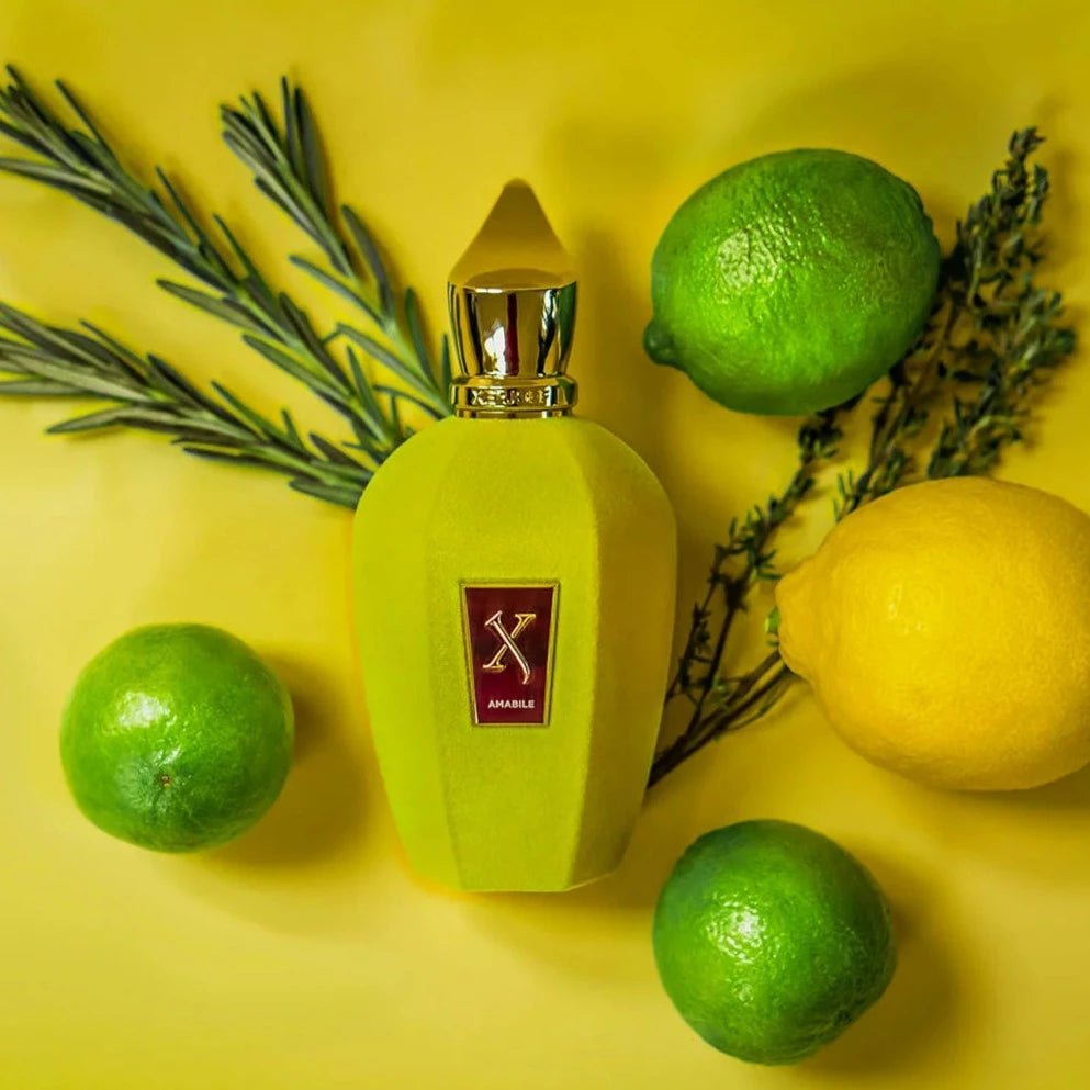 Xerjoff Amabile EDP | My Perfume Shop