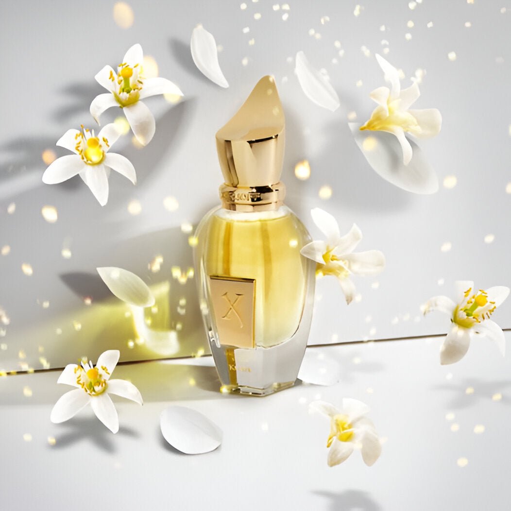 Xerjoff Shooting Stars Lua Parfum | My Perfume Shop