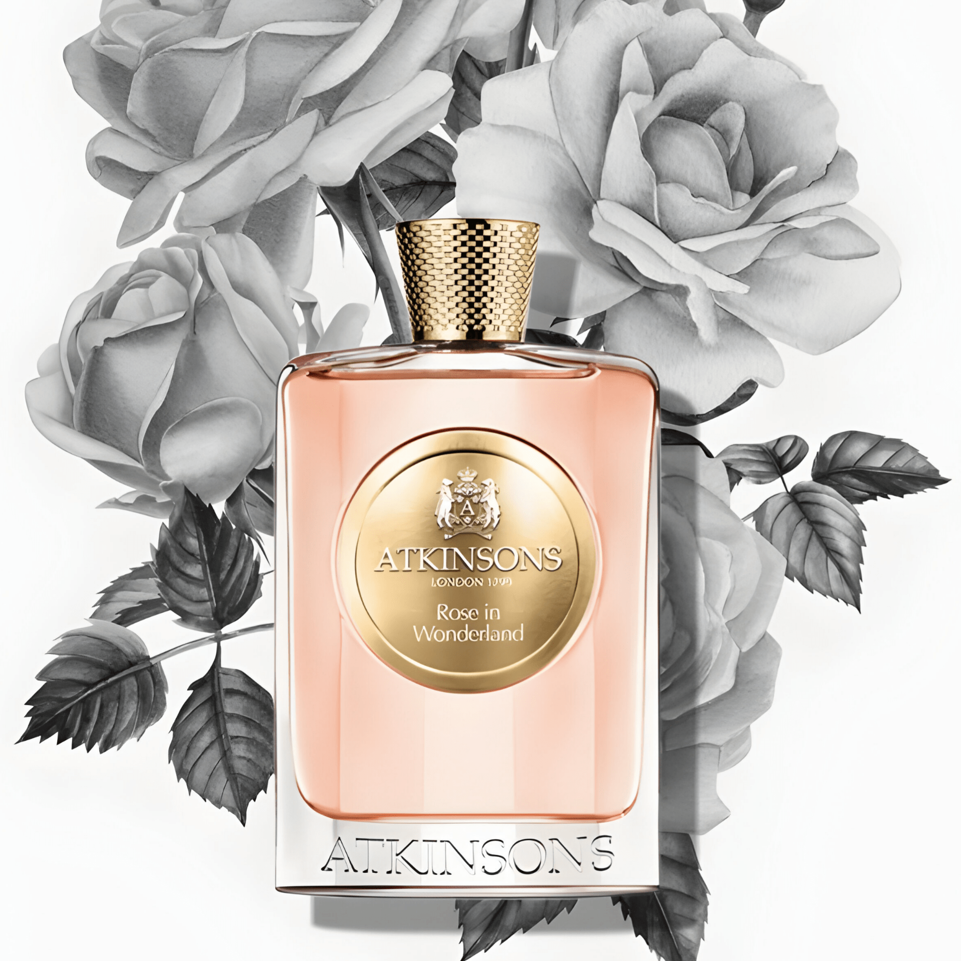 Atkinsons Rose In Wonderland EDP | My Perfume Shop