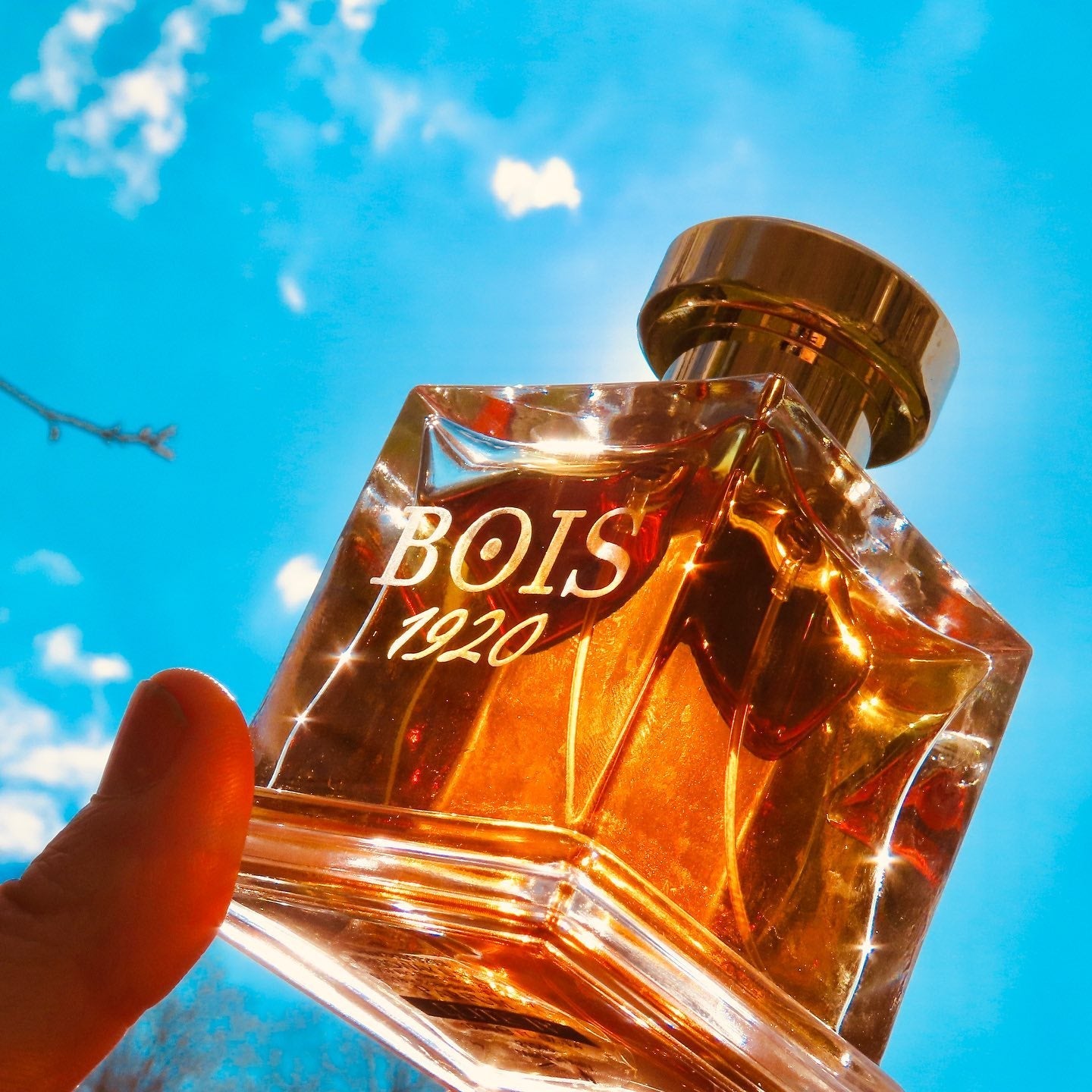 Bois 1920 Elite Iii | My Perfume Shop Australia