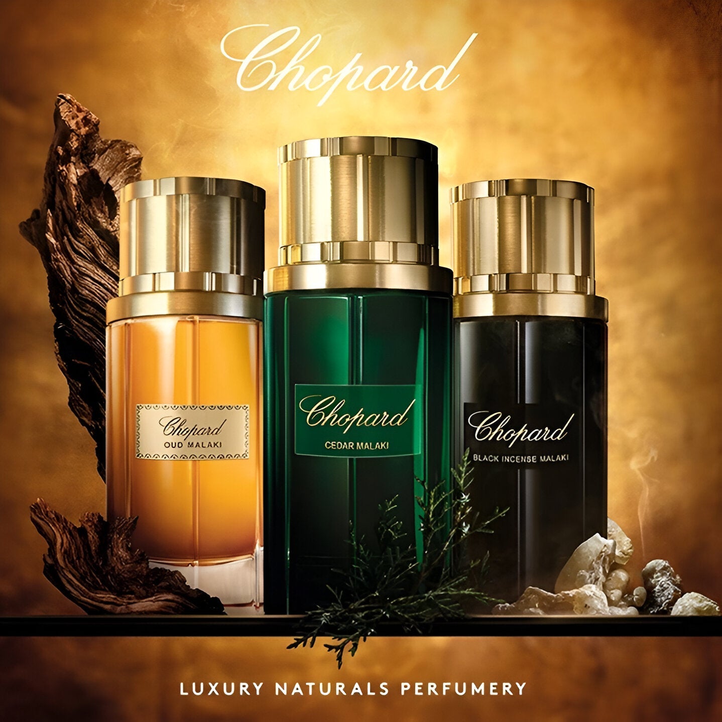 Shop Chopard Black Incense Malaki EDP