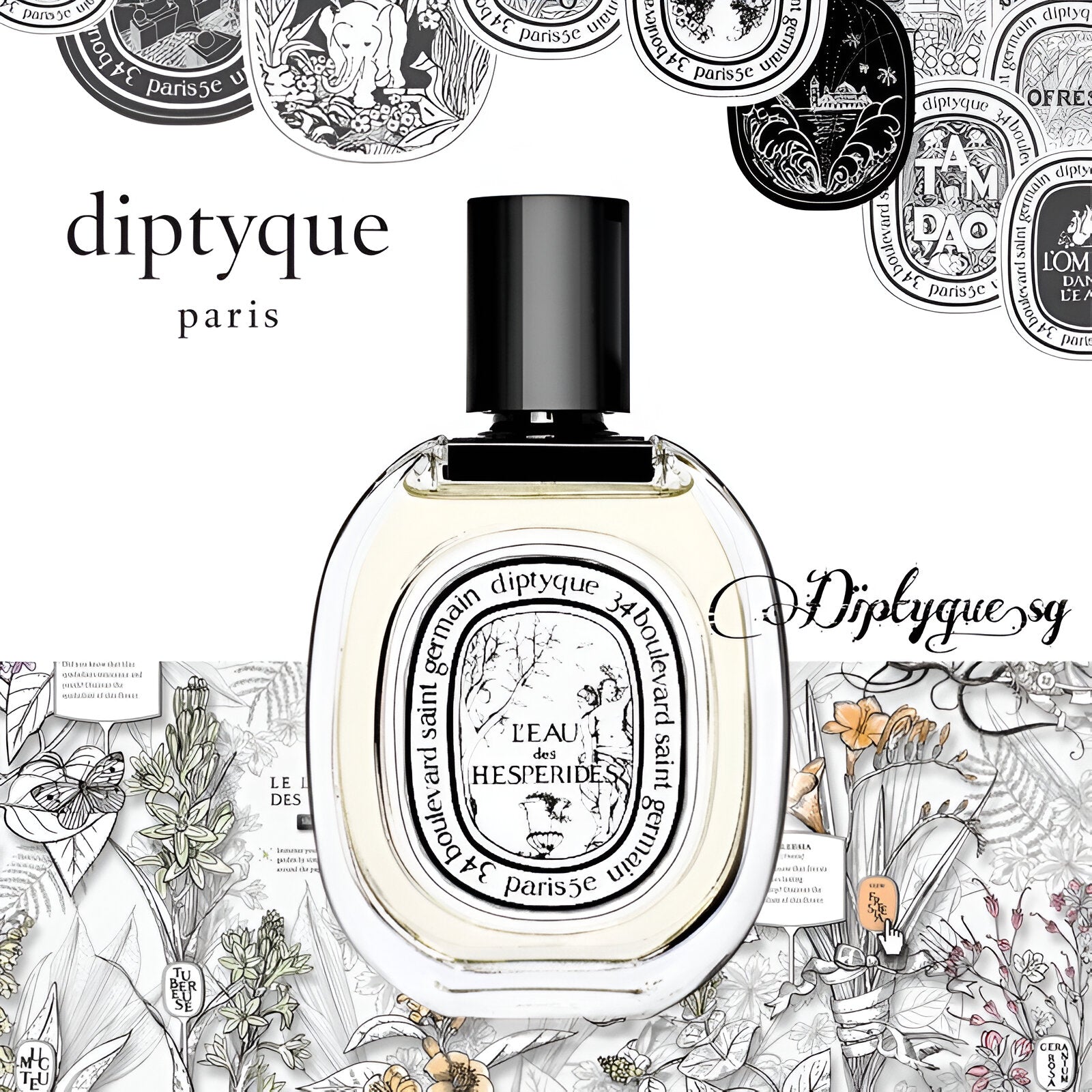 Eau de Hesperides 100ml store EDT Diptyque