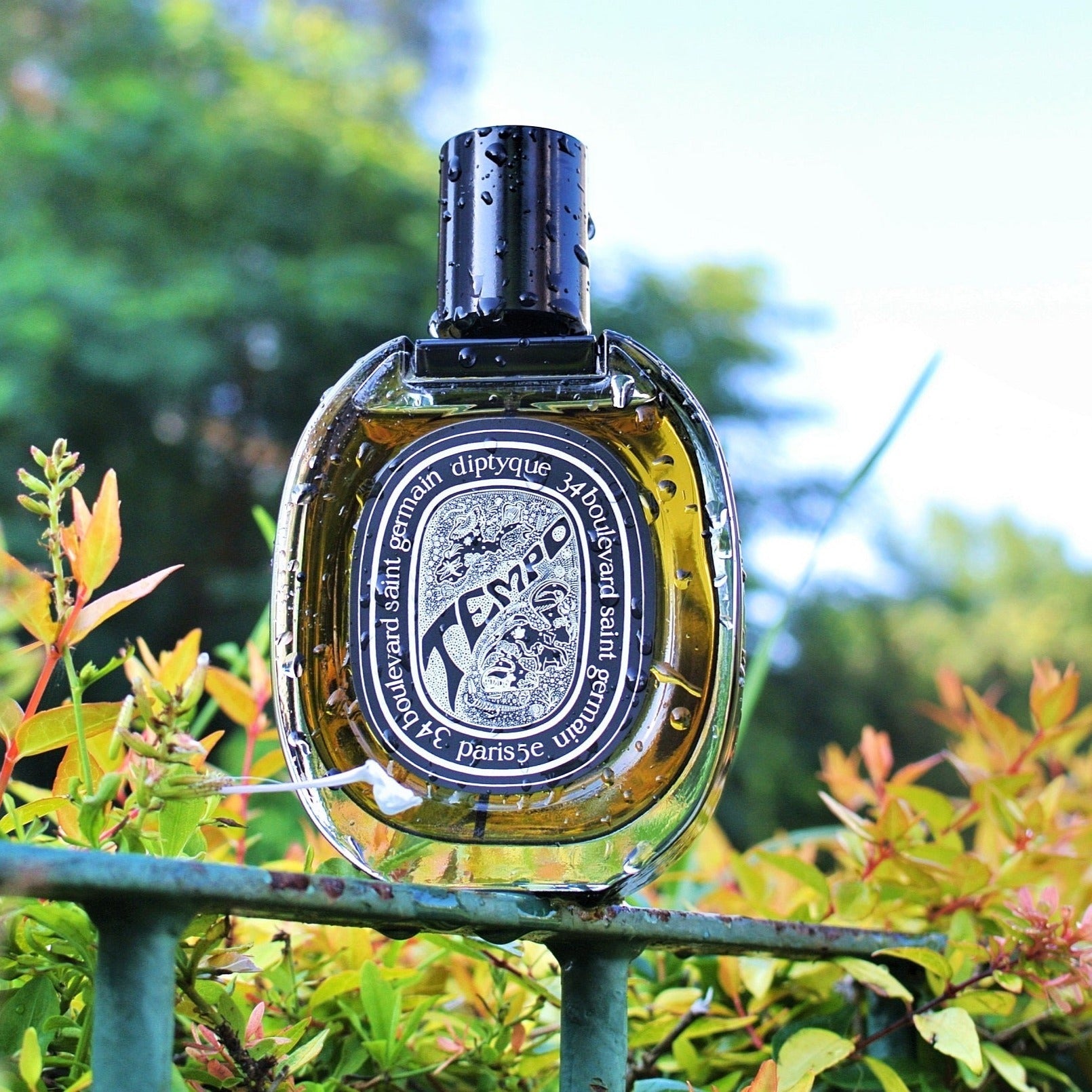 Diptyque deals Tempo edp