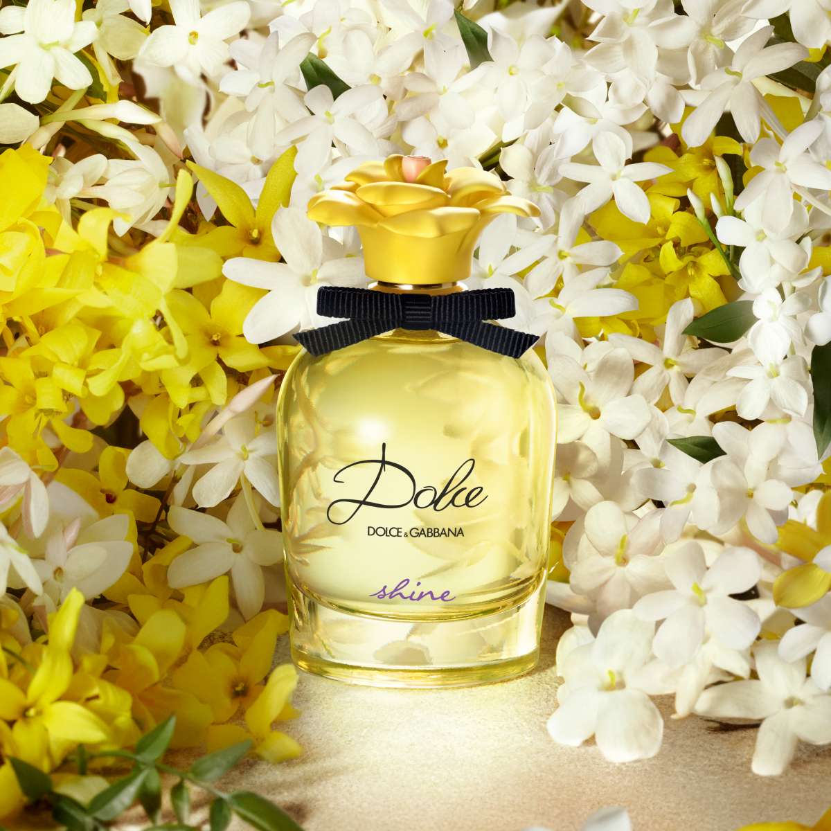 Dolce & Gabbana Dolce Shine EDP | My Perfume Shop