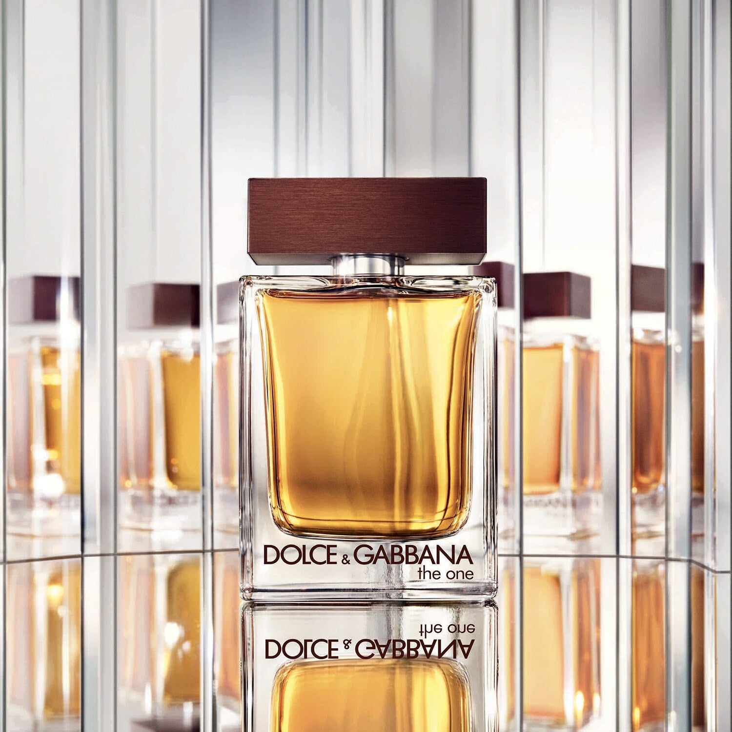 Dolce and outlets Gabbana The One EDT