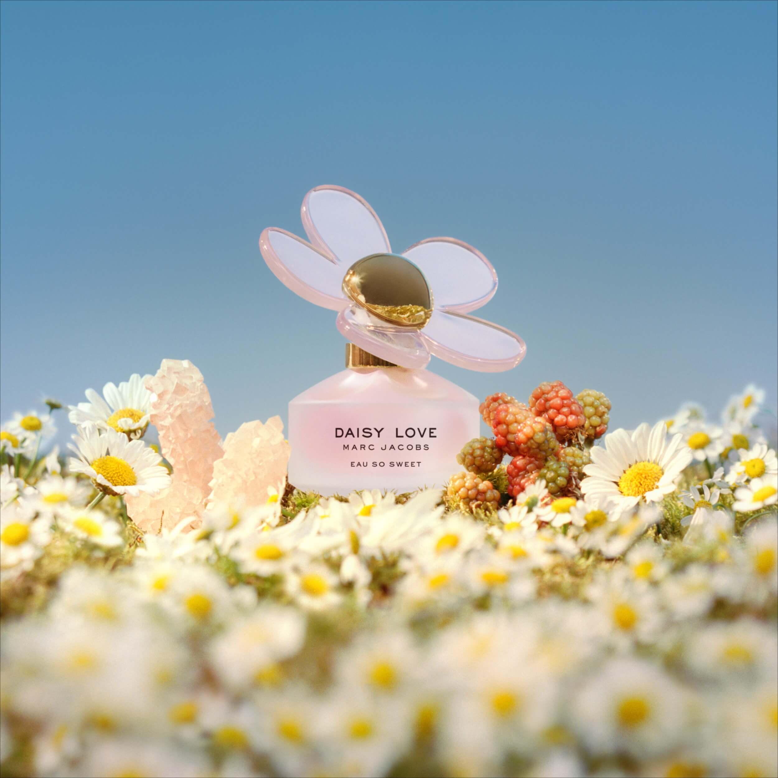 Shop Marc Jacobs Daisy Love Eau So Sweet EDT