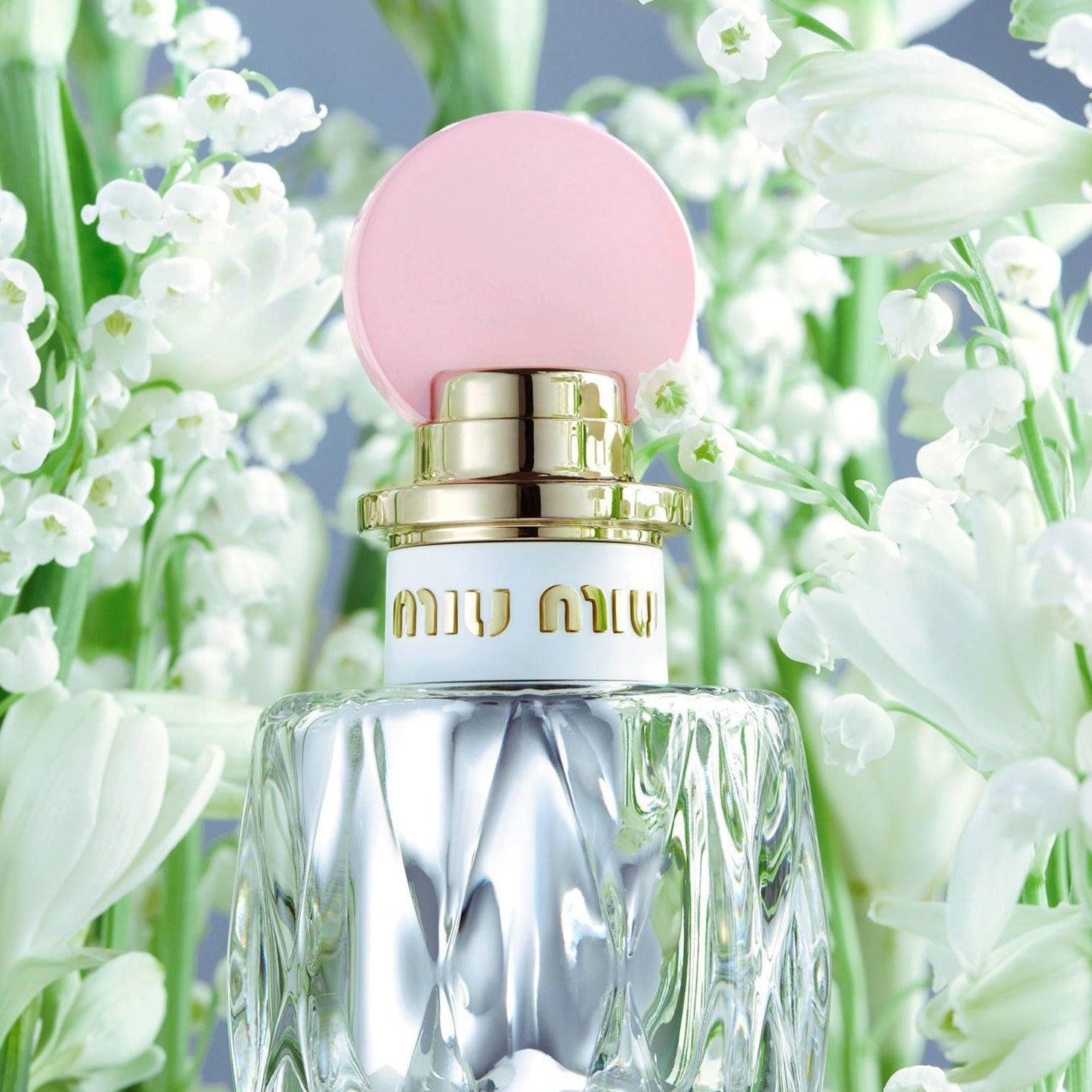 Shop Miu Miu Fleur d'Argent EDP Absolue