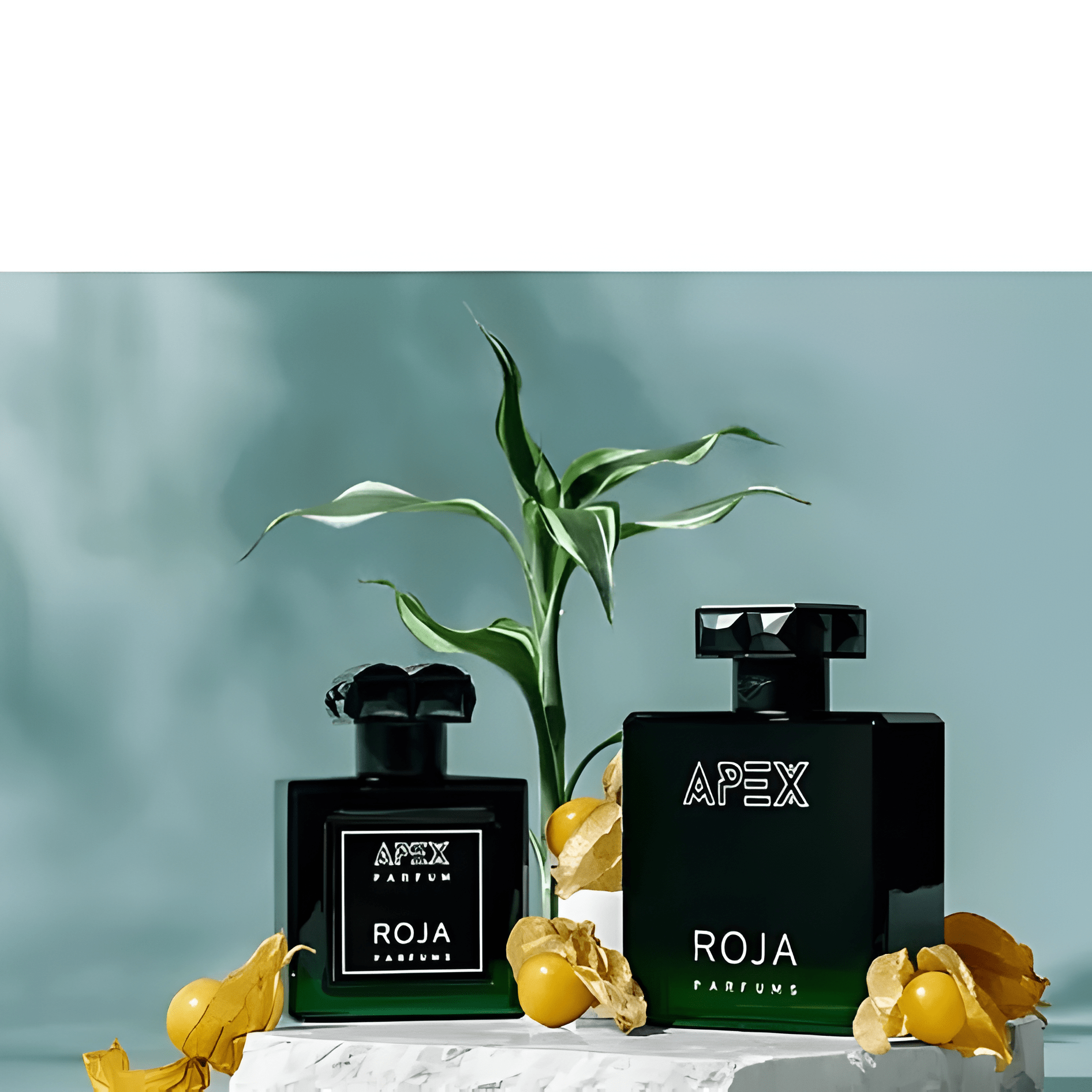 Roja Parfums Apex Parfum | My Perfume Shop