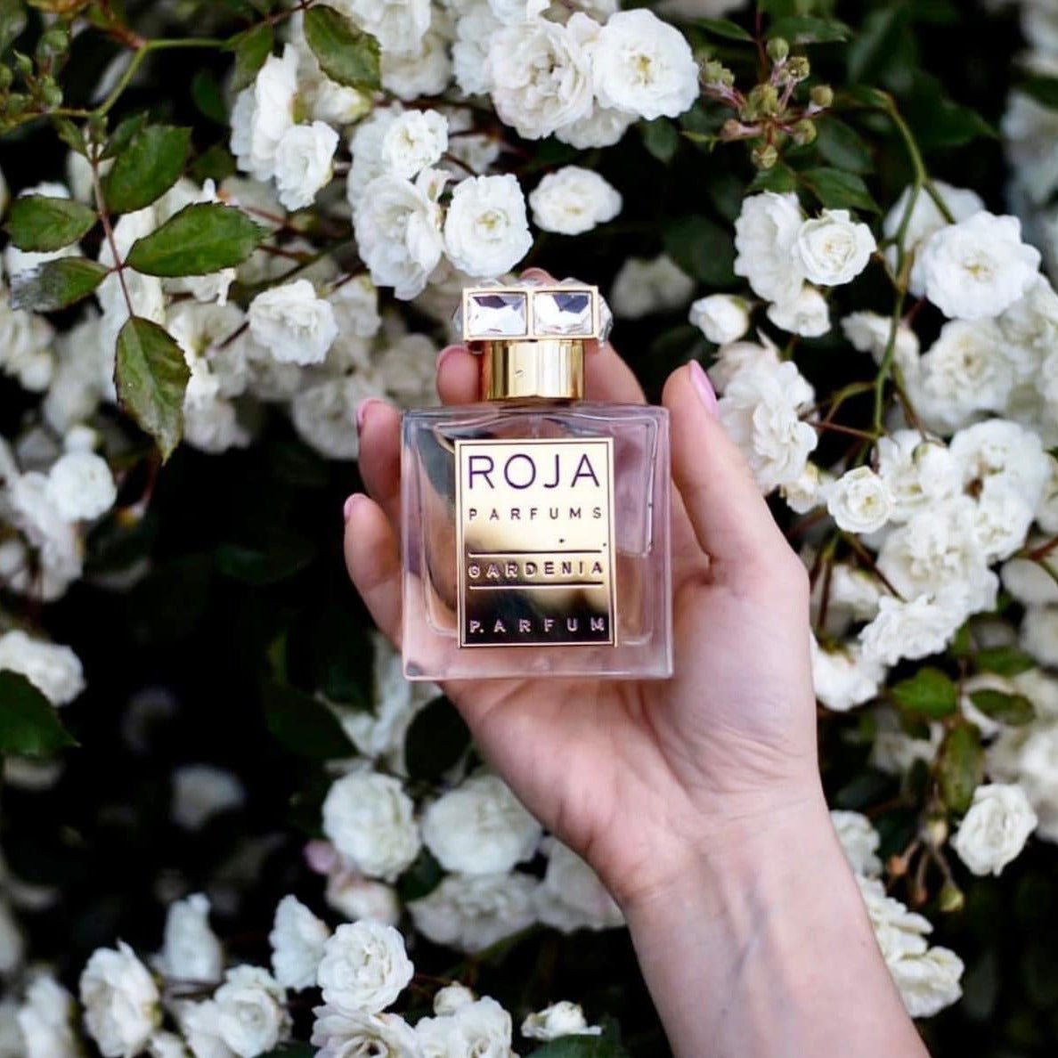 Roja Parfums Gardenia Pour Femme Parfum | My Perfume Shop